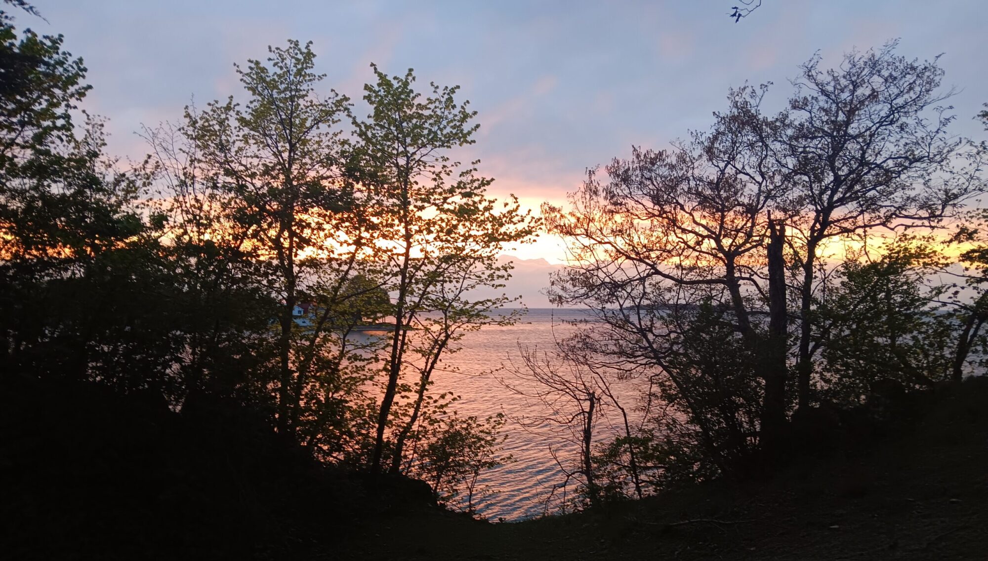 Barbara Barrett | beyond category…